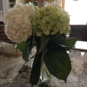 Meet your Posher, Sylvia